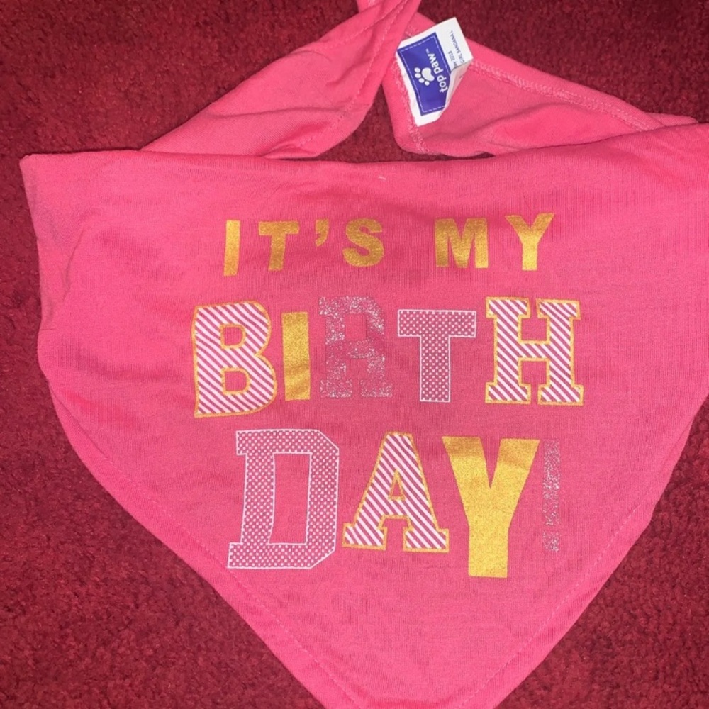 Birthday Bandana for Dogs